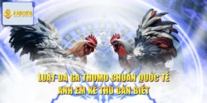 Luật Đá Gà Thomo Chuẩn Quốc Tế Anh Em Kê Thủ Cần Biết